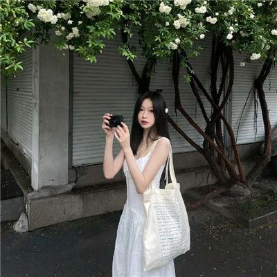 圣诞佳丽